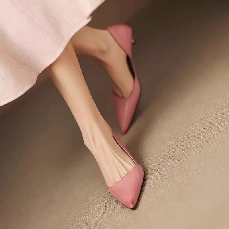 Women's Pointed Toe Stiletto H - đánh giá và giá Women Shoes Heels