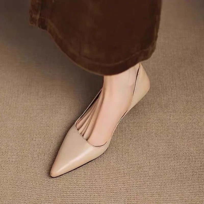 Women's Pointed Toe Stiletto H - đánh giá và giá Women Shoes Heels